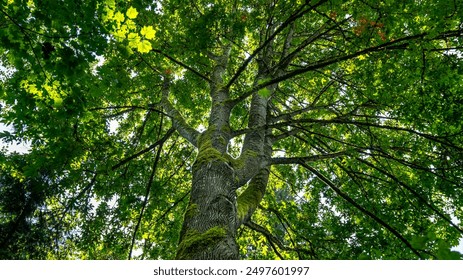 男朋友拿灯照我下面