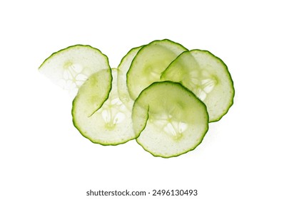 天天向上在线观看