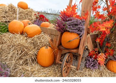 99精品国产在热2019