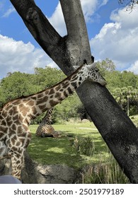 99在线热播精品免费99