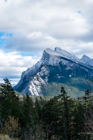 99视频在线精品免费观看6