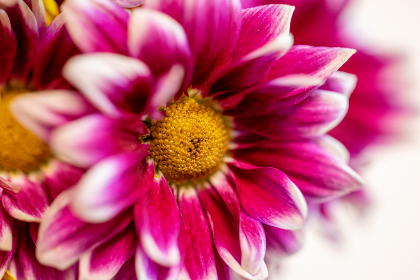 午夜福利1000集合集92