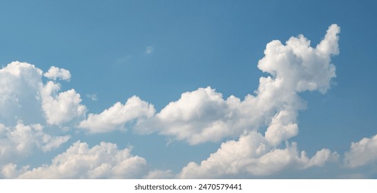 vidhub.tv3：探索视频分享平台的无限可能与精彩内容